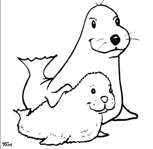 Seal_Pup.jpg