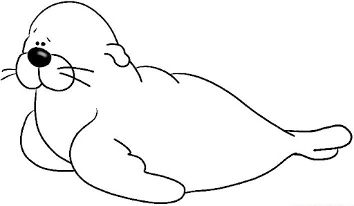 coloriage-otarie-0.jpg