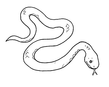 biscia.jpg