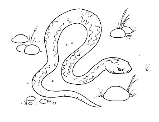 vipera.jpg