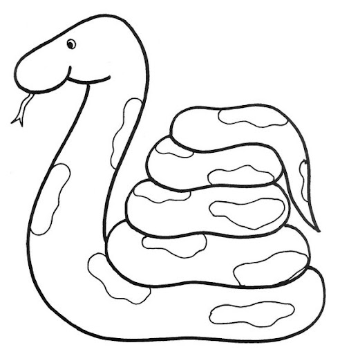zviratka-had.jpg