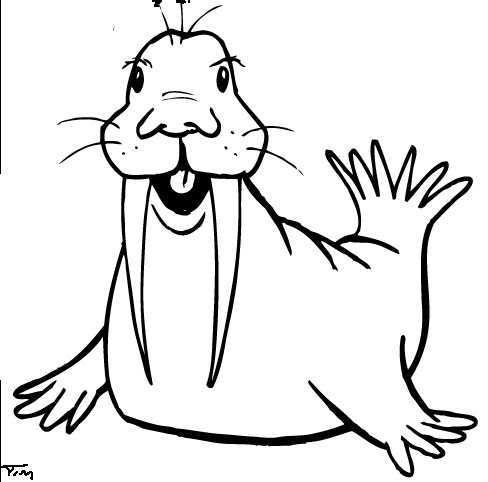 Walrus.jpg