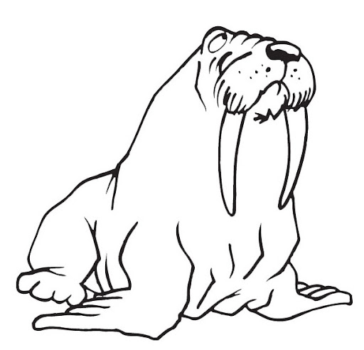 zooanimals18.jpg