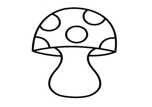 champignon.jpg