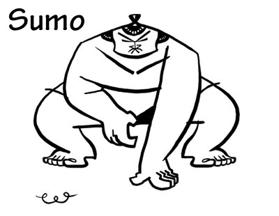 SUMO2DEF.jpg