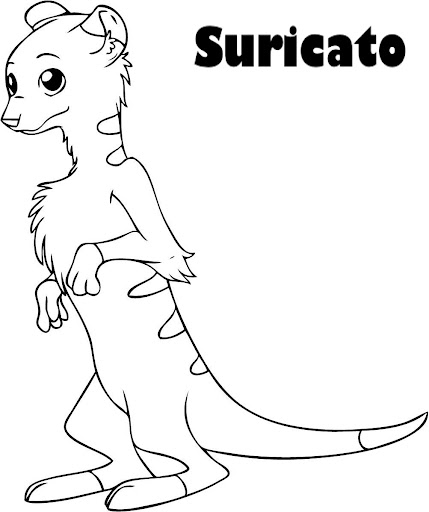 how-to-draw-a-meerkat-step-7.jpg