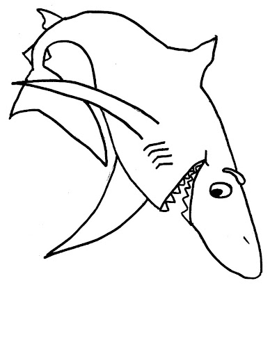 tiburon-3.jpg