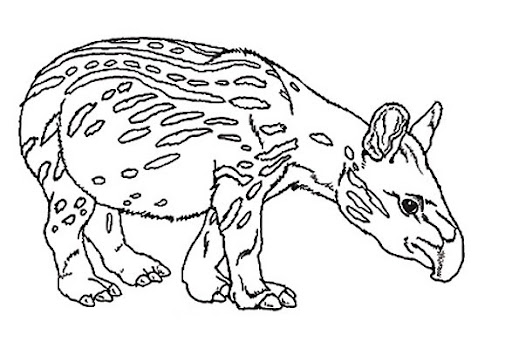 umbrella_mural_coloring_tapir.jpg