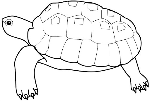 268.gif.jpg