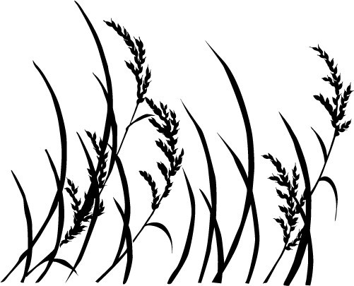 naklejka-flora-36_311.jpg