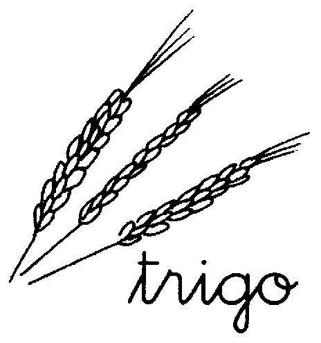 trigo%2520%2528caso%2520de%2520leitura%2520tr%2529.jpg