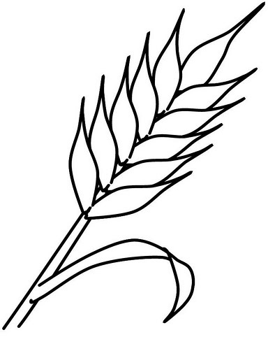 wheat.gif.jpg