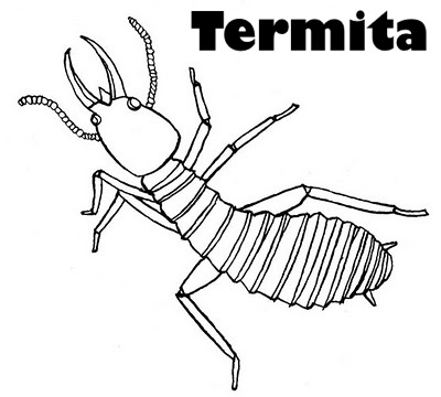 termite.jpg