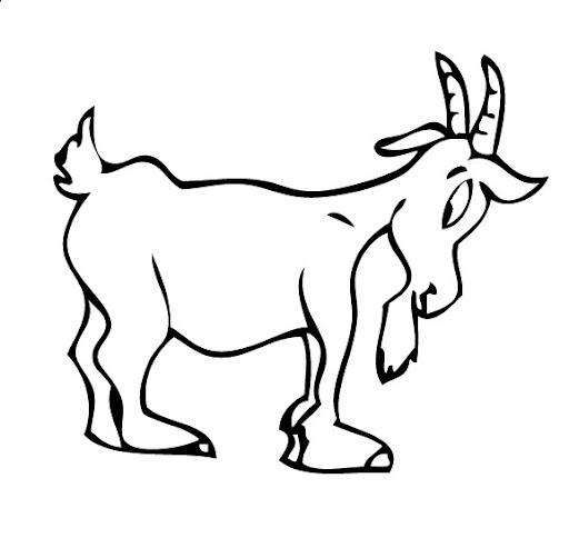 Goat_Capra.jpg