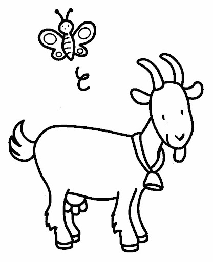 chevre10.jpg