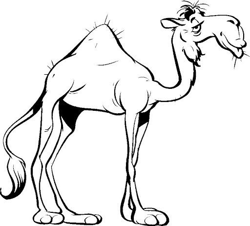 camel%25202.jpg