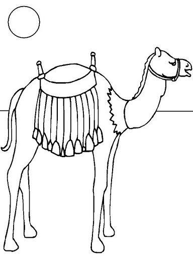 camel7%255B1%255D.gif.jpg