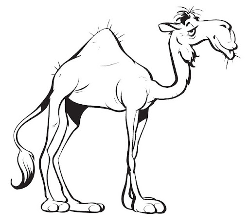 zooanimals16.jpg