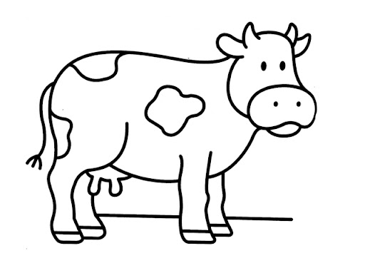 vache1.jpg