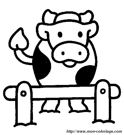 vache7.jpg