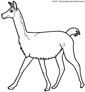 vicuna.jpg
