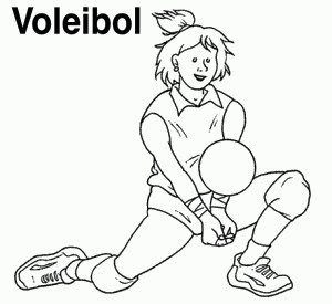 Volley-300x275.jpg