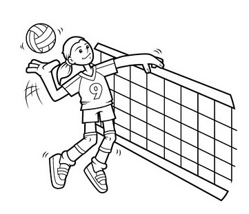 volei.jpg