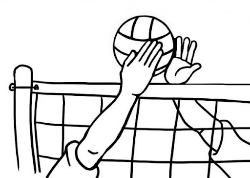 volley.jpg