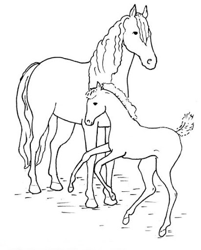 PAARDEN35.jpg