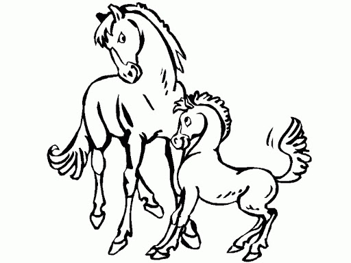 Yegua-con-su-potrillo.jpg