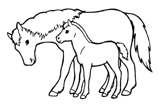 cheval1.jpg