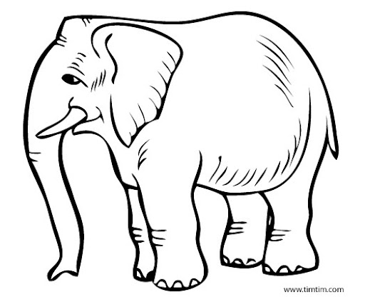 2558_Elephant-1.jpg