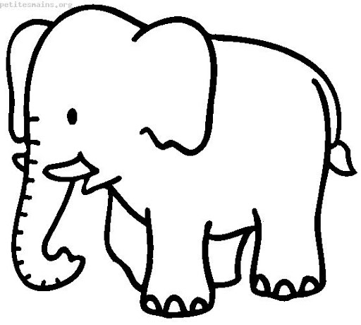 elefante-2.jpg