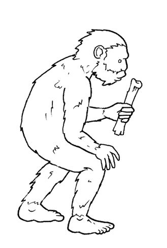 australopiteco.gif.jpg