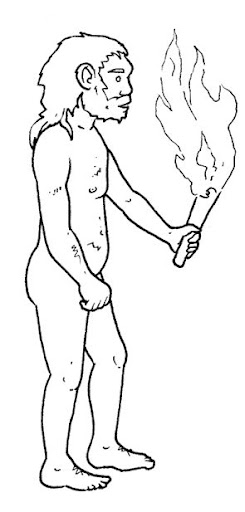 homoErectus.gif.jpg