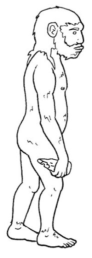 homoHabilis.gif.jpg