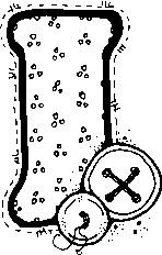 1I.jpg