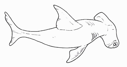 Peces (118).jpg