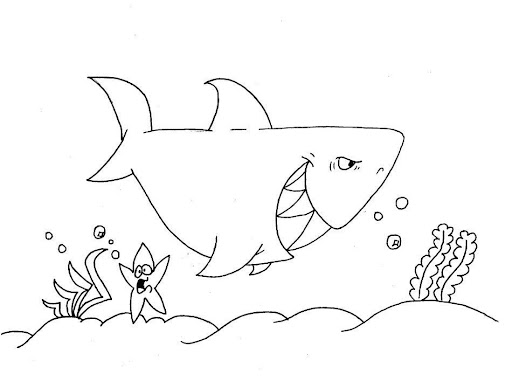 SHARK3.jpg