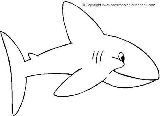 shark 4.jpg