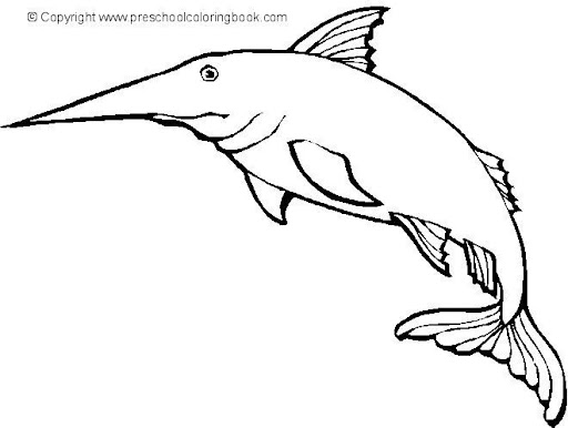 sword fish.jpg