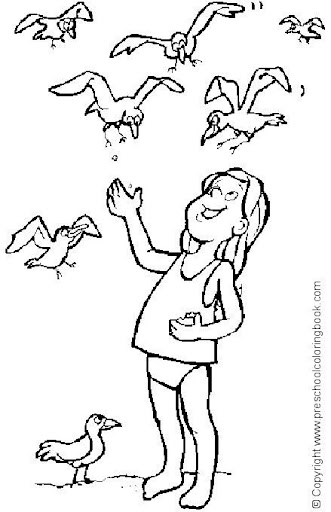 girl feeding seagull.jpg