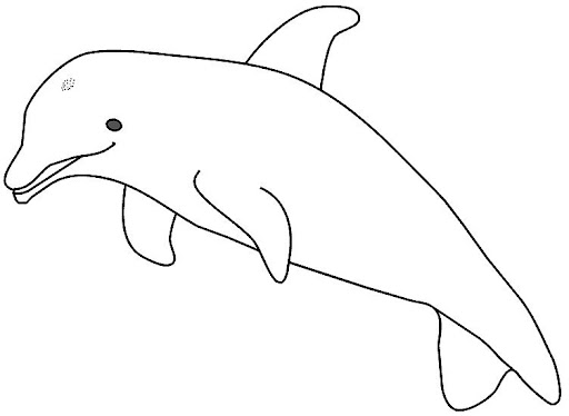 Mamíferos (97).jpg