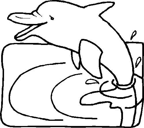 delfin.gif.jpg