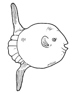 Peces (117).jpg