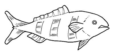 Peces (119).jpg