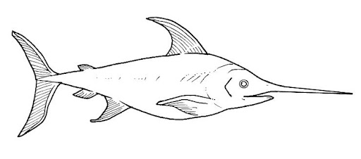 Peces (120).jpg