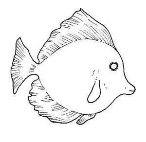 Peces (147).jpg
