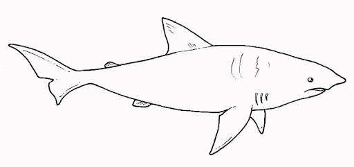 Peces (153).jpg