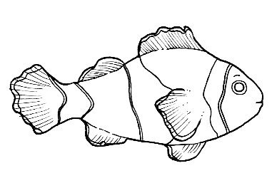 Peces (47).jpg